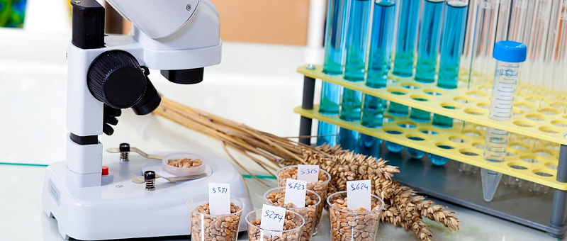 Клинические исследования кормовых добавок   